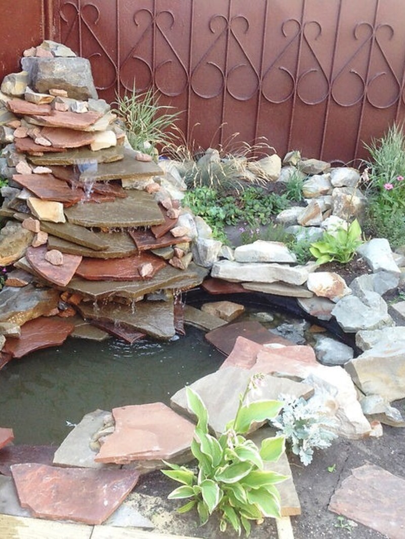 Без названия 1