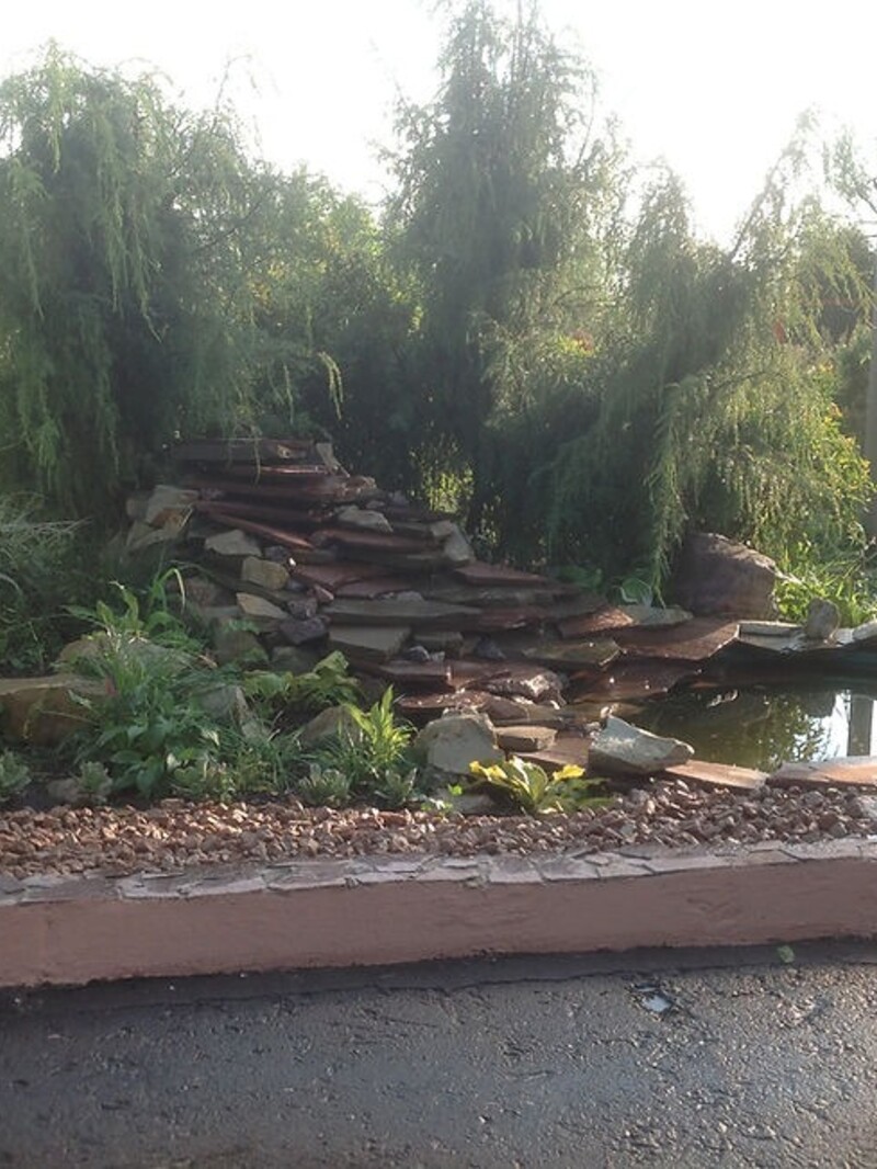 Без названия